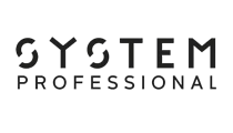 system professional logo